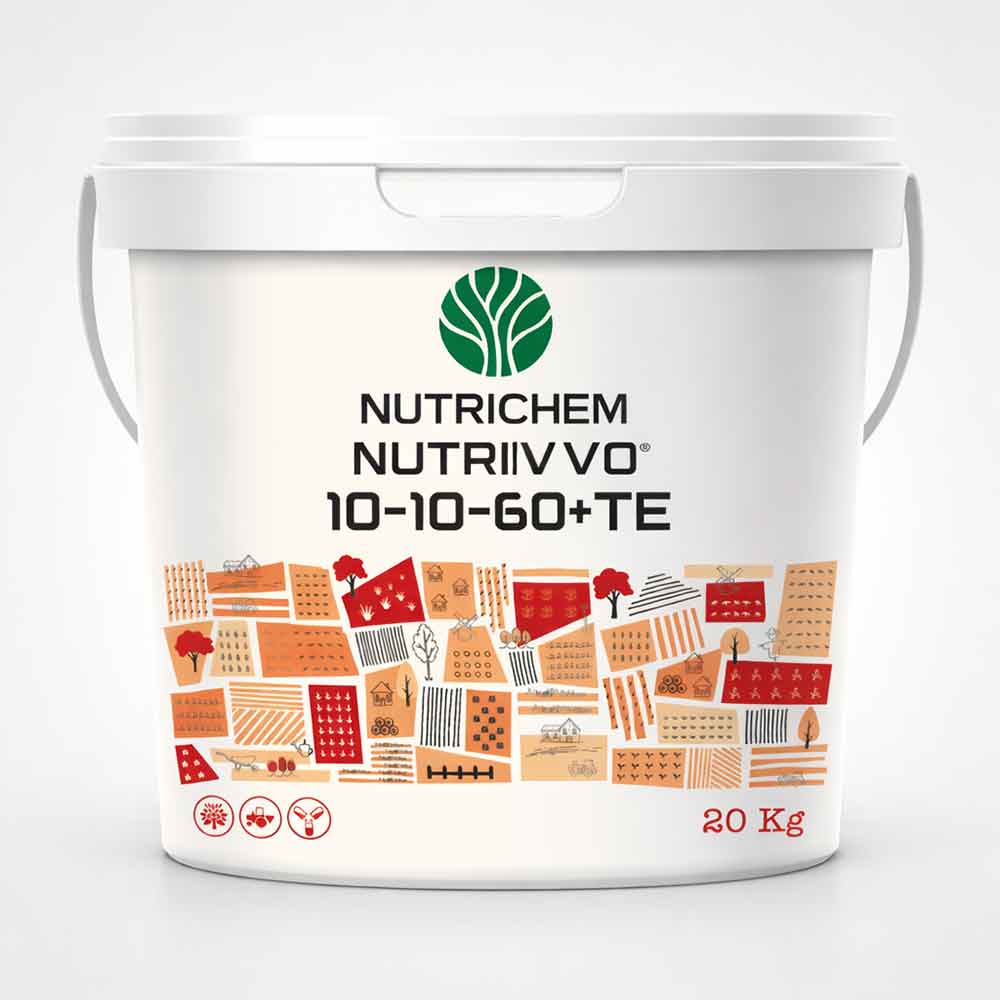 NPK 10-10-60 + TE Gel <br>(20 Kg)