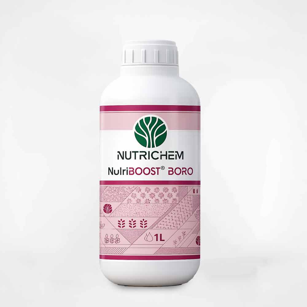 Bore NutriBOOST BORO – Image 3