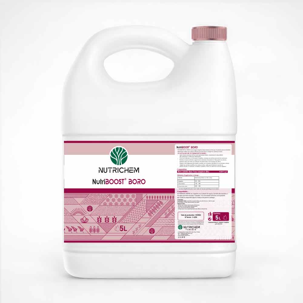 Bore NutriBOOST BORO – Image 2