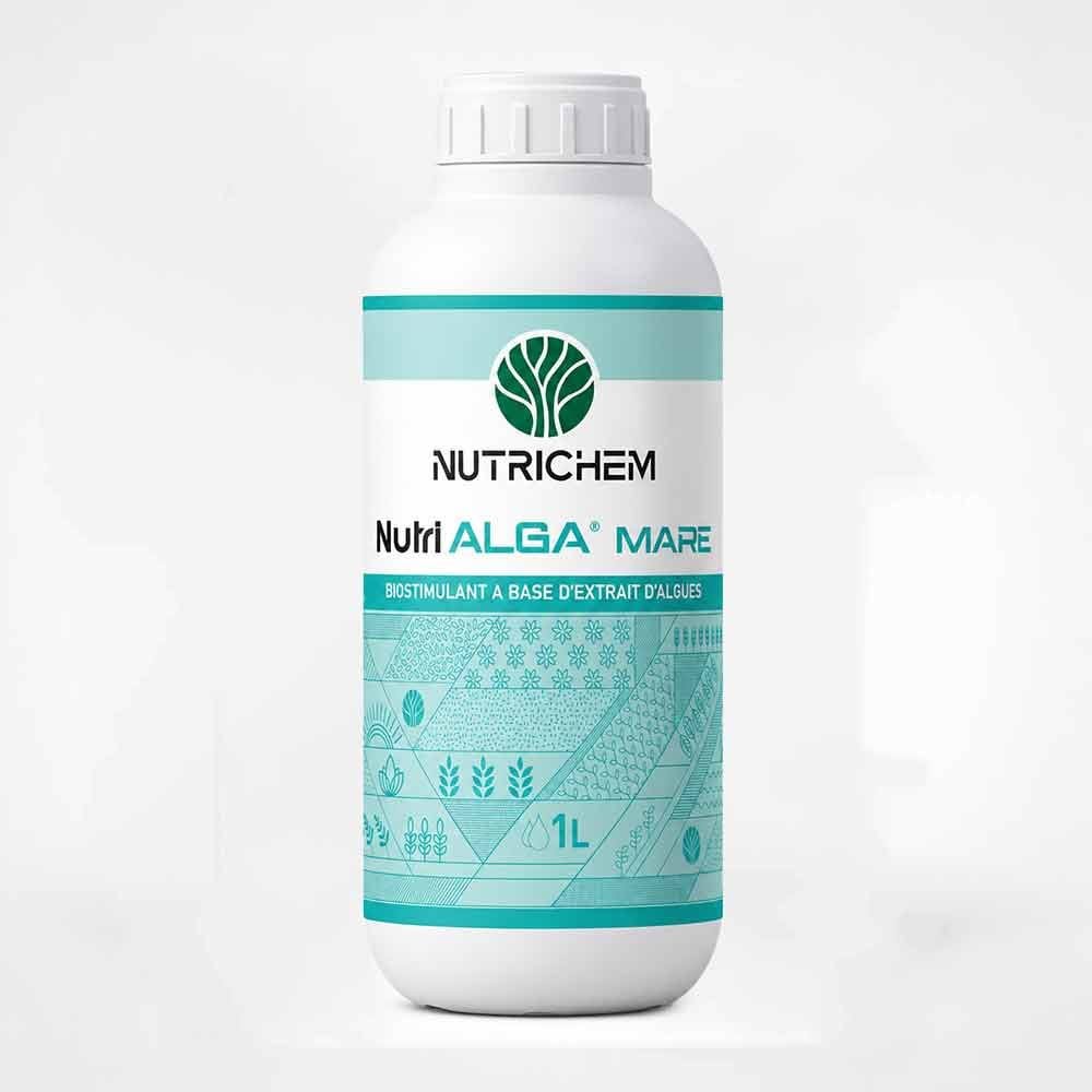 NUTRIALGA®à base d'algue marine (طحالب) - azote tunisie - Tunisie - npktunisie - image 2