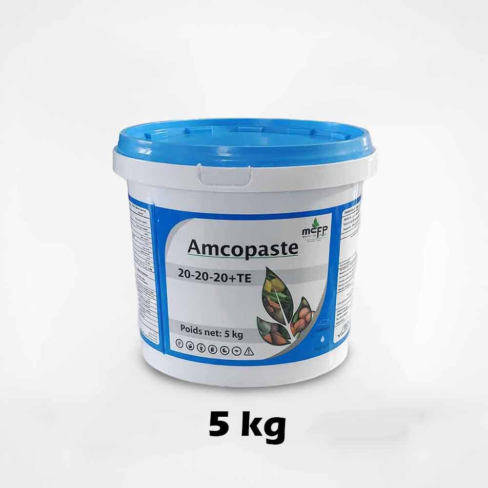 NPK 20-20-20 + TE Gel – Nutrition Équilibrée des Cultures (5 Kg)