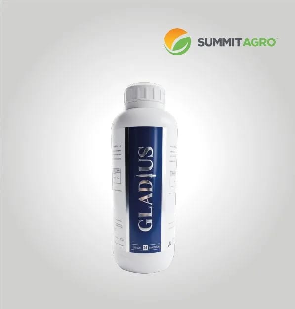 GLADIUS 10 SC